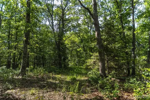 275 Oak Ridge Rd, Bourbon, MO 65441 photo 2