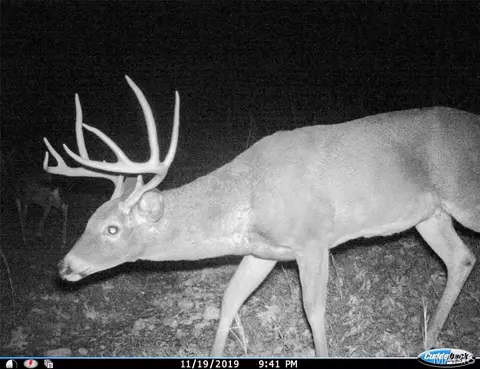 tbd County Road 502, Ellington, MO 63638