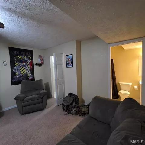 Other - 22245 Target Ln, Saint Robert, MO 65584 photo 8 of 13