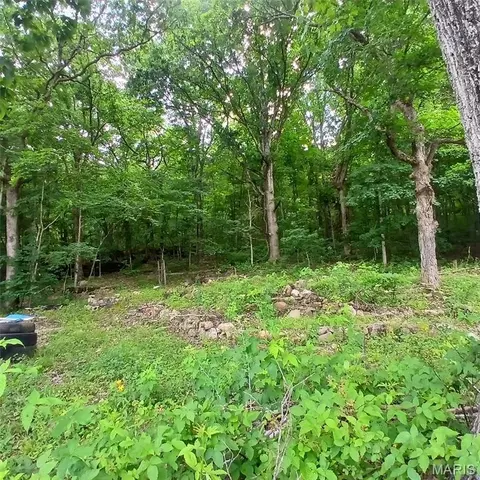 14773 Highway E, Arcadia, MO 63621 photo 2