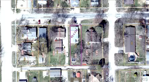 View/Area - 120 E Warren St, Moweaqua, IL 62550 photo 1 of 1