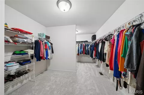 Other - 965 Arbor Run Ct, Manchester, MO 63021 photo 5 of 12