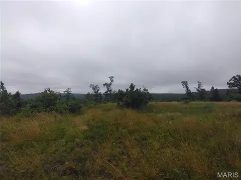 10 Tract 10 Off Hwy O, Belleview, MO 63623