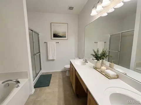 Bath - 321 Hawks View Dr, O'fallon, MO 63368 photo 1 of 3