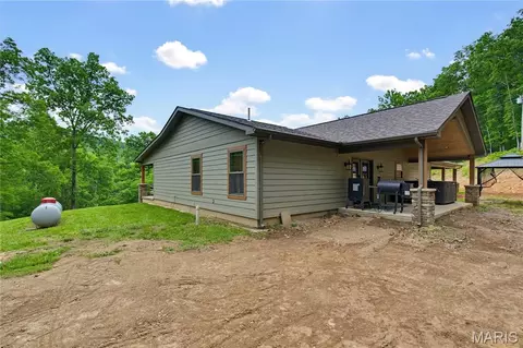1371 Wayne 344, Des Arc, MO 63636 photo 69