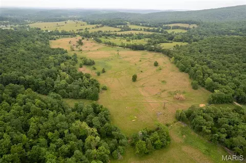 1371 Wayne 344, Des Arc, MO 63636 photo 18