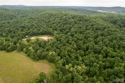 1371 Wayne 344, Des Arc, MO 63636 photo 29