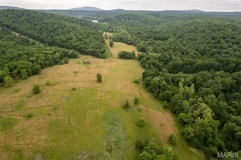 1371 Wayne 344, Des Arc, MO 63636 photo 25