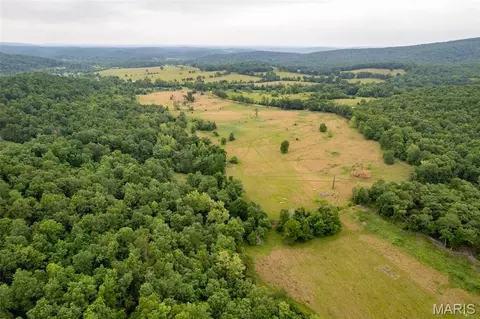 1371 Wayne 344, Des Arc, MO 63636 photo 34