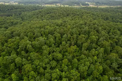 1371 Wayne 344, Des Arc, MO 63636 photo 16