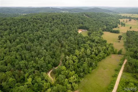 1371 Wayne 344, Des Arc, MO 63636 photo 13