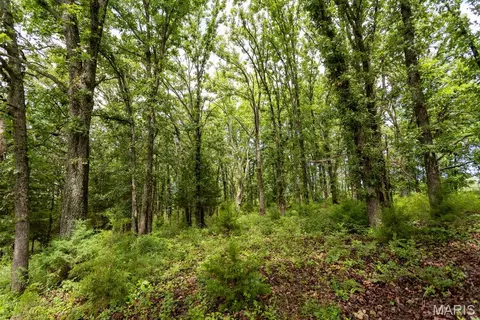 30 S Ac S 220th Rd, Halfway, MO 65663 photo 13
