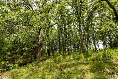 30 S Ac S 220th Rd, Halfway, MO 65663 photo 12