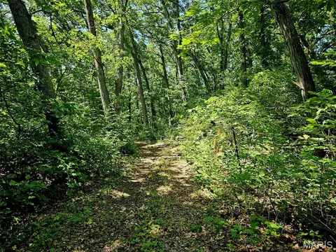 8 Ac Walker Rd, Troy, MO 63379 photo 6