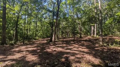 8 Ac Walker Rd, Troy, MO 63379 photo 9