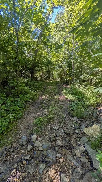 8 Ac Walker Rd, Troy, MO 63379 photo 12