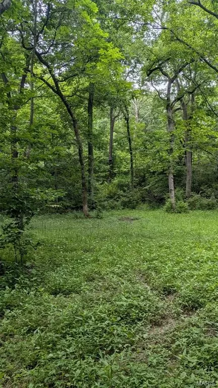 8 Ac Walker Rd, Troy, MO 63379 photo 13