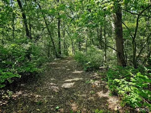 8 Ac Walker Rd, Troy, MO 63379 photo 7