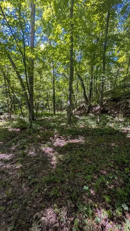 8 Ac Walker Rd, Troy, MO 63379 photo 14