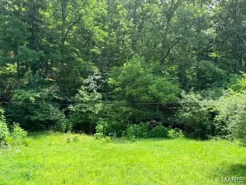 00 NE 6th St, Mill Spring, MO 63952 photo 4