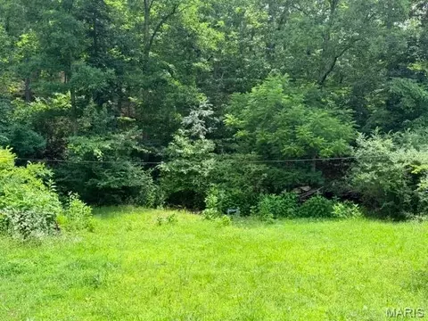 00 NE 6th St, Mill Spring, MO 63952 photo 2