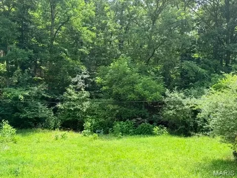 00 NE 6th St, Mill Spring, MO 63952 photo 5