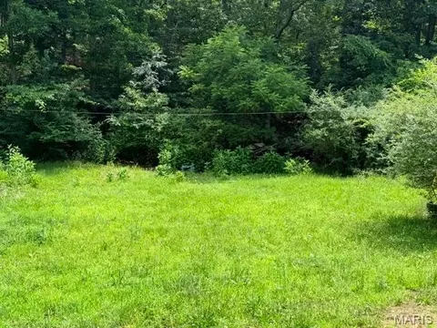 00 NE 6th St, Mill Spring, MO 63952 photo 6
