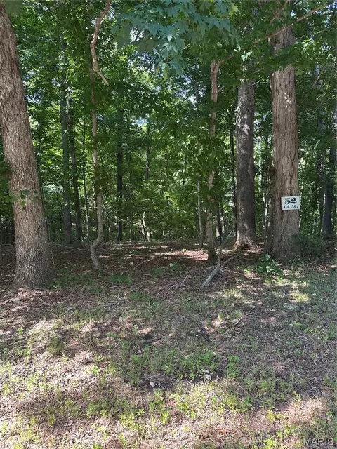 437 Big River Vw, Eureka, MO 63025 photo 5