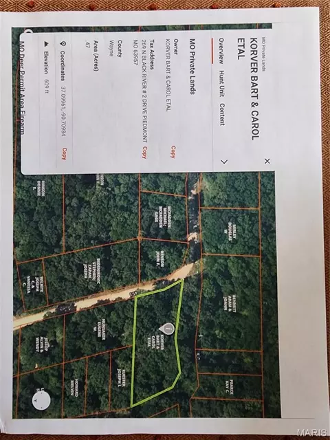 0 County Road 453, Piedmont, MO 63957