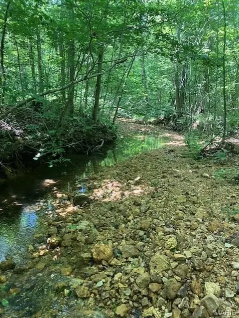 242 Madison Cr 410, Fredericktown, MO 63645