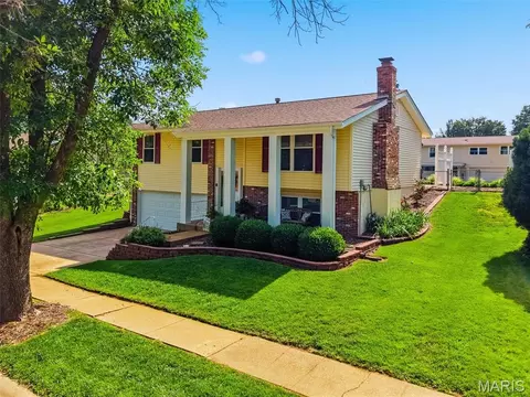 Other - 254 Village Mead Dr, Ballwin, MO 63021 photo 1 of 12
