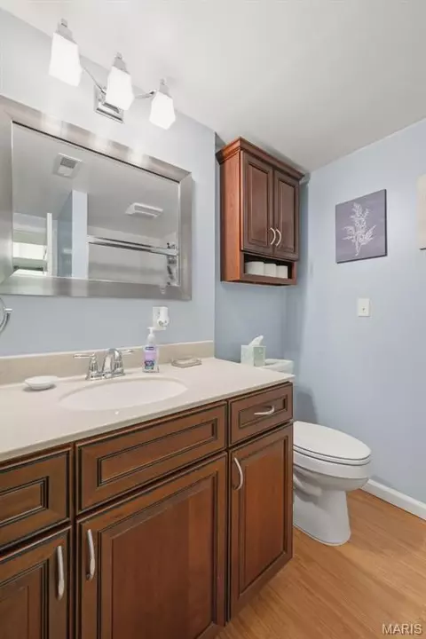 Bath - 254 Village Mead Dr, Ballwin, MO 63021 photo 3 of 4