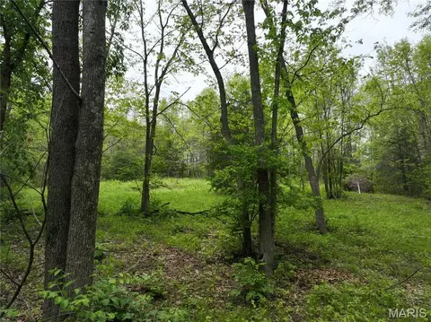 110 Spring House Ln, Unincorporated, MO 63379 photo 9