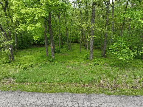 110 Spring House Ln, Unincorporated, MO 63379 photo 12