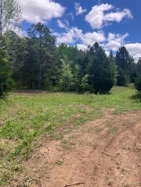 245 Madison Cr 410, Fredericktown, MO 63645