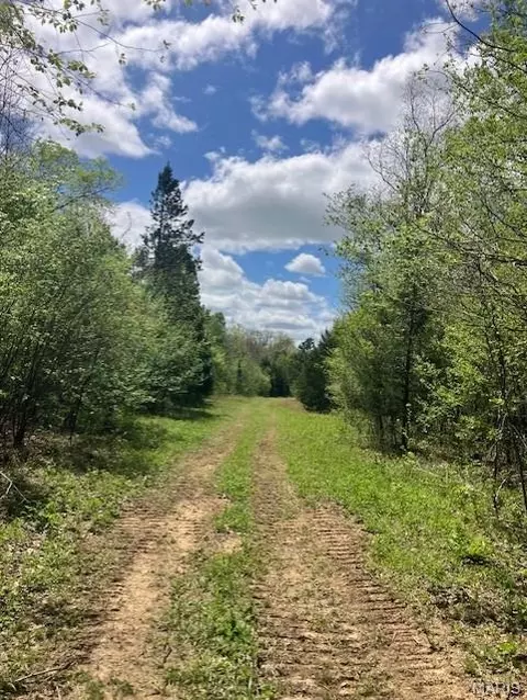 246 Madison Cr 410, Fredericktown, MO 63645