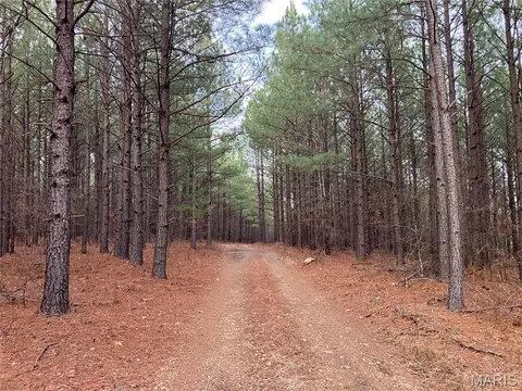 253 Madison Cr 410, Fredericktown, MO 63645
