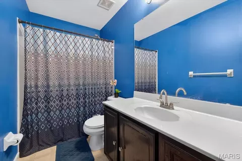 Bath - 567 Brook Meadow Dr, Ballwin, MO 63021 photo 3 of 6