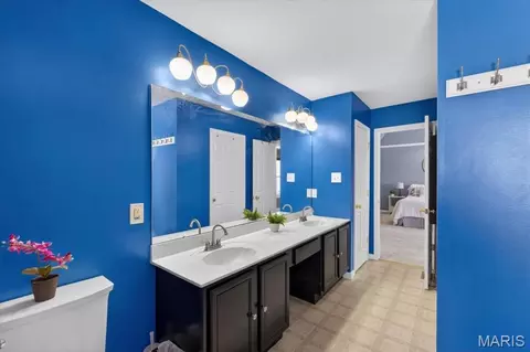 Bath - 567 Brook Meadow Dr, Ballwin, MO 63021 photo 6 of 6