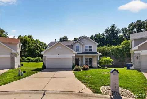Other - 567 Brook Meadow Dr, Ballwin, MO 63021 photo 4 of 16