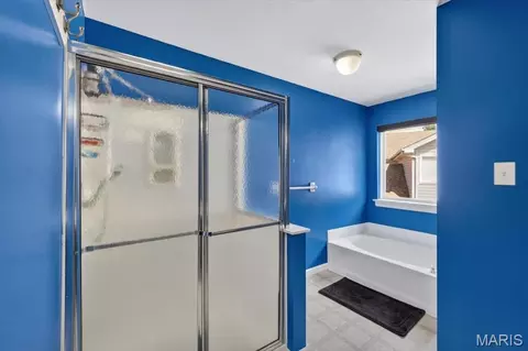 Bath - 567 Brook Meadow Dr, Ballwin, MO 63021 photo 5 of 6
