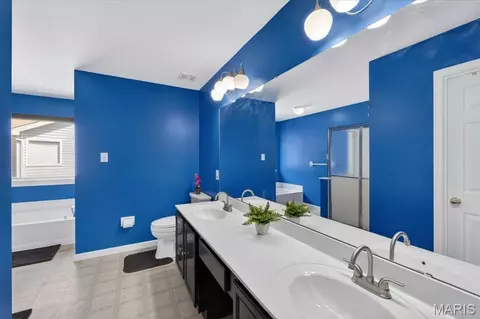 Bath - 567 Brook Meadow Dr, Ballwin, MO 63021 photo 4 of 6
