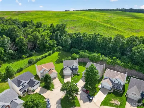 View/Area - 567 Brook Meadow Dr, Ballwin, MO 63021 photo 6 of 6