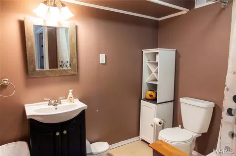 Bath - 17181 Elm Trail Dr, Eureka, MO 63025 photo 6 of 6