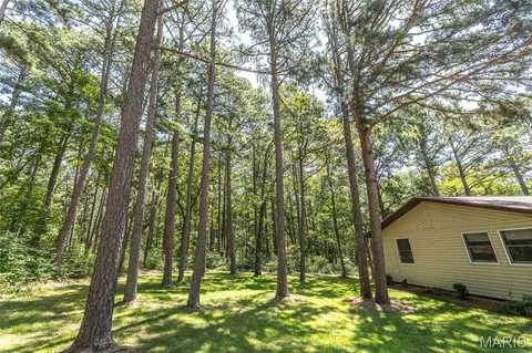 Exterior - 11545 Slaughter Rd, Licking, MO 65542 photo 4 of 20