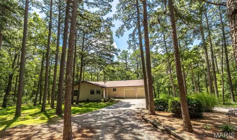 Exterior - 11545 Slaughter Rd, Licking, MO 65542 photo 3 of 20