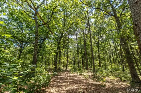 Other - 11545 Slaughter Rd, Licking, MO 65542 photo 14 of 14