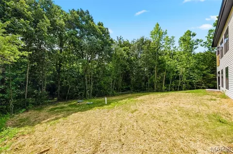 Exterior - 217 Red Mare Rd, Winfield, MO 63389 photo 7 of 13