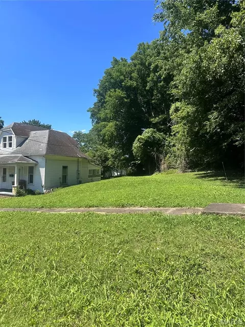 311 E Davidson Ave, Chaffee, MO 63740 photo 3