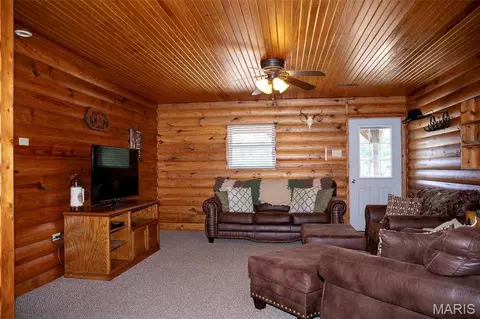 Living - 211 Henry Hicks Rd, Herod, IL 62947 photo 4 of 4